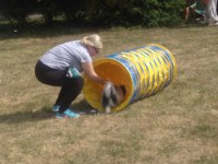 /album/fotogalerie-vikendy-se-psy/img-20180610-101747-jpg/