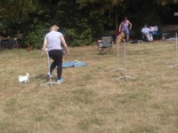 /album/fotogalerie-vikendy-se-psy/img-20180610-103628-jpg/