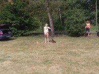 /album/fotogalerie-vikendy-se-psy/img-20180610-103918-jpg/