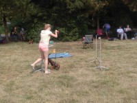 /album/fotogalerie-vikendy-se-psy/img-20180610-104005-jpg/