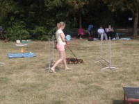 /album/fotogalerie-vikendy-se-psy/img-20180610-104009-jpg/