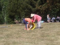 /album/fotogalerie-vikendy-se-psy/img-20180610-104524-jpg/