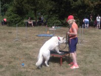 /album/fotogalerie-vikendy-se-psy/img-20180610-104538-jpg/