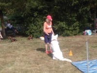 /album/fotogalerie-vikendy-se-psy/img-20180610-104655-jpg/