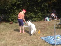 /album/fotogalerie-vikendy-se-psy/img-20180610-104659-jpg/