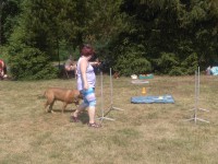 /album/fotogalerie-vikendy-se-psy/img-20180610-104832-jpg/