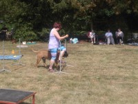 /album/fotogalerie-vikendy-se-psy/img-20180610-104841-jpg/