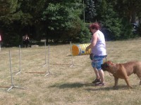 /album/fotogalerie-vikendy-se-psy/img-20180610-104929-jpg/