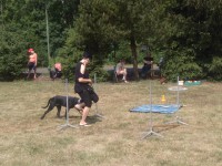 /album/fotogalerie-vikendy-se-psy/img-20180610-105251-jpg/