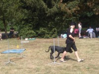 /album/fotogalerie-vikendy-se-psy/img-20180610-105255-jpg/