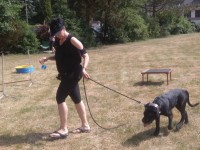 /album/fotogalerie-vikendy-se-psy/img-20180610-105342-jpg/