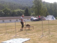 /album/fotogalerie-vikendy-se-psy/img-20180610-113129-jpg/