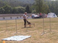/album/fotogalerie-vikendy-se-psy/img-20180610-113134-jpg/