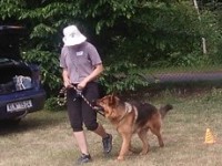 /album/fotogalerie-vikendy-se-psy/img-20180610-102819-jpg/