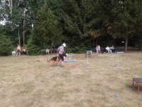 /album/fotogalerie-vikendy-se-psy/img-20180610-102835-jpg/