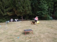 /album/fotogalerie-vikendy-se-psy/img-20180610-102842-jpg/