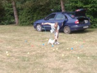 /album/fotogalerie-vikendy-se-psy/img-20180610-103228-jpg/