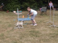 /album/fotogalerie-vikendy-se-psy/img-20180610-103242-jpg/
