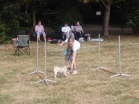 /album/fotogalerie-vikendy-se-psy/img-20180610-103247-jpg/