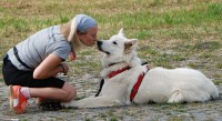 /album/fotogalerie-vycvikovy-den-17-8-2019/dsc-01046-jpg/