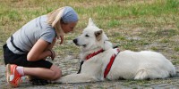 /album/fotogalerie-vycvikovy-den-17-8-2019/dsc-01048-jpg/