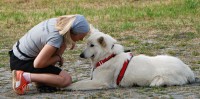 /album/fotogalerie-vycvikovy-den-17-8-2019/dsc-01049-jpg/
