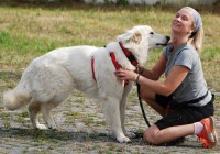 /album/fotogalerie-vycvikovy-den-17-8-2019/dsc-01051-jpg/