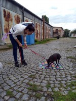 /album/fotogalerie-vycvikovy-den-17-8-2019/img-20190810-101337250-hdr-jpg/